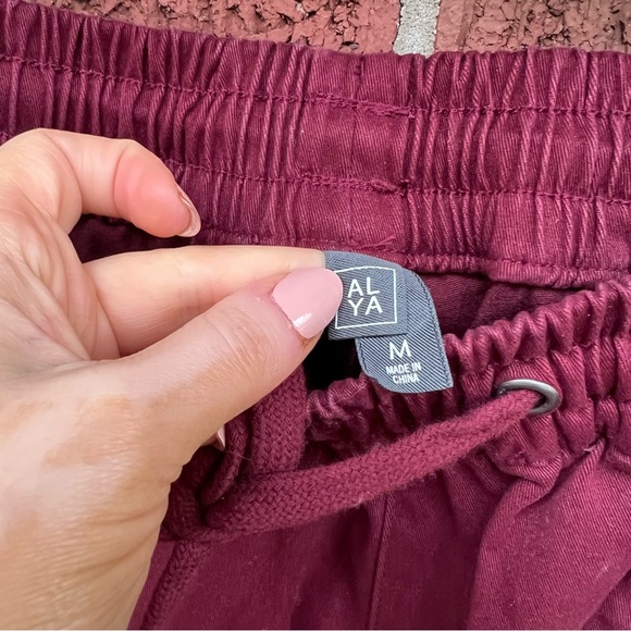 Franceca’s Burgundy High Waisted Cargo Drawstring Joggers Pants - Picture 3 of 3